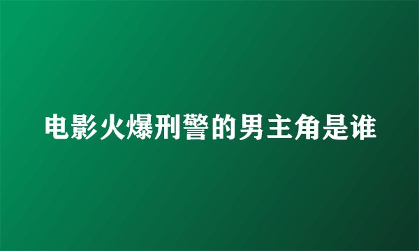 电影火爆刑警的男主角是谁
