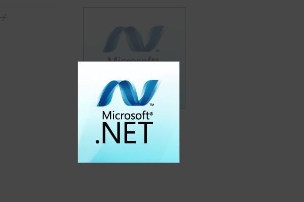 如何解决net framework4.0无法启动的问题？