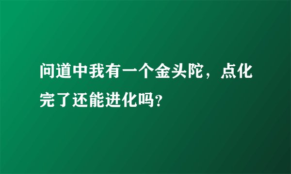 问道中我有一个金头陀，点化完了还能进化吗？