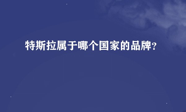 特斯拉属于哪个国家的品牌？