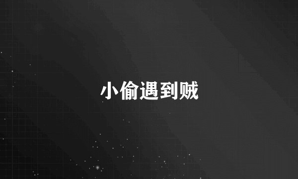 小偷遇到贼