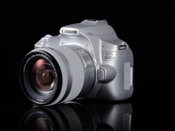 佳能最好的单反相机是什么型号