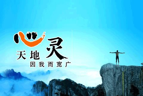 北京心灵方舟科技发展有限公司的公司简介