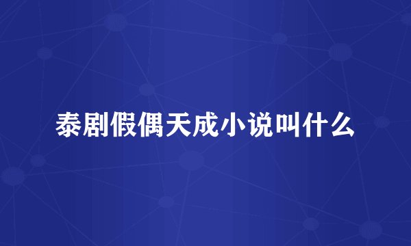 泰剧假偶天成小说叫什么