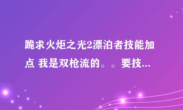 跪求火炬之光2漂泊者技能加点 我是双枪流的。。要技能的。。