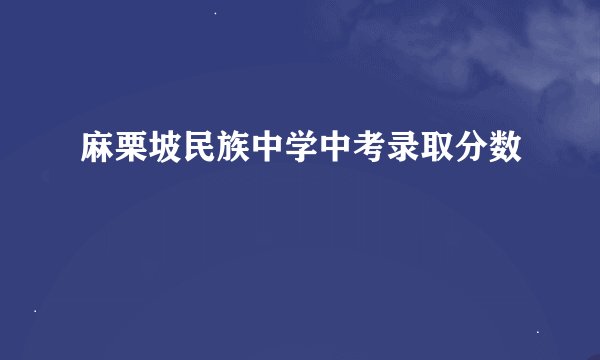 麻栗坡民族中学中考录取分数
