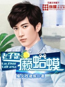 老子是癞蛤蟆txt网盘下载