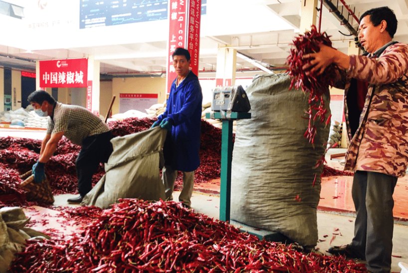 全国最大的辣椒交易市场在哪里？其火爆程度是怎样的？