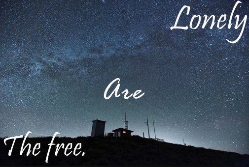 “lonely”歌词是什么意思