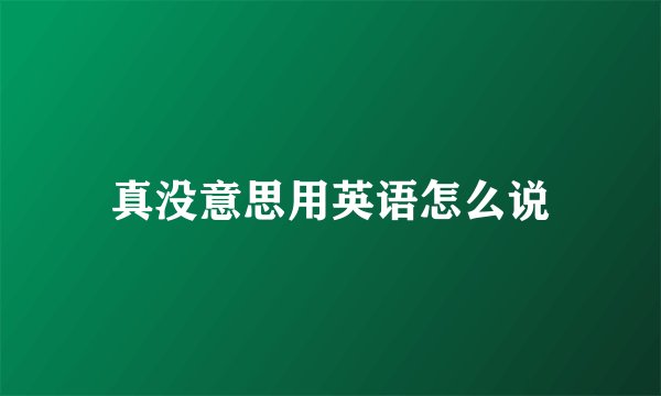 真没意思用英语怎么说
