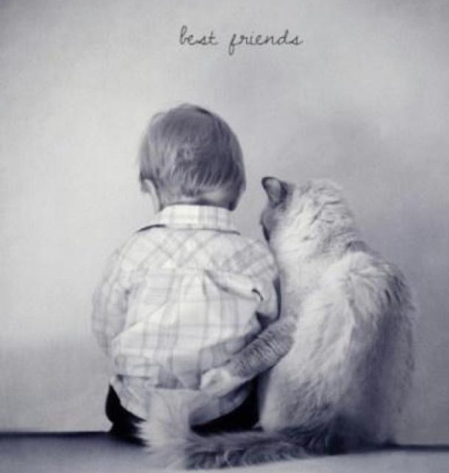 fool是什么意思英语