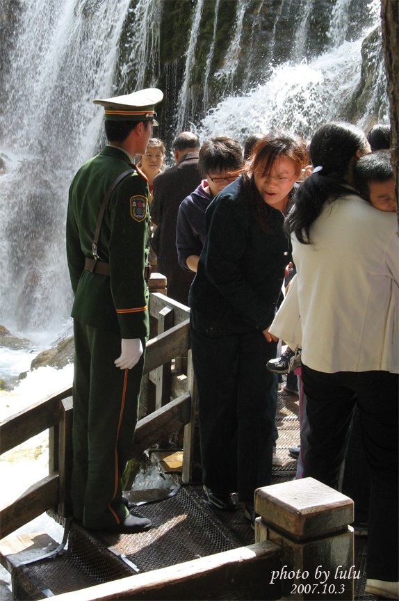 小白杨事件的介绍