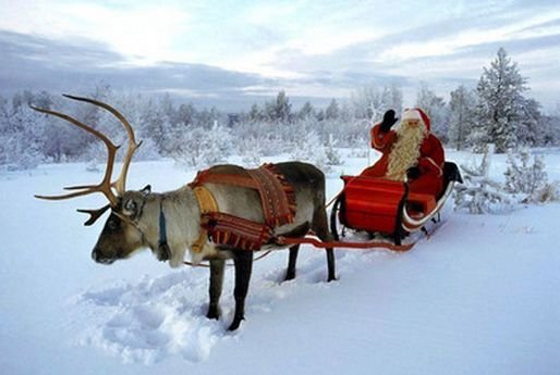 圣诞节中的鹿是代表着什么？