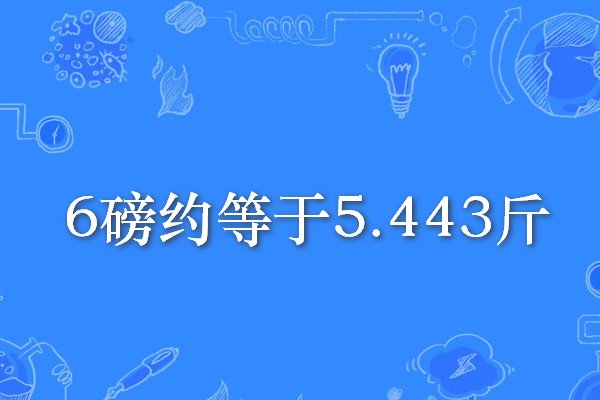 6磅是多少斤