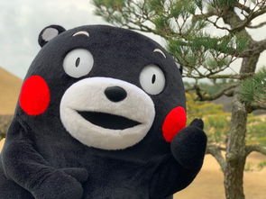 重庆还有一只熊本熊在漂流，熊本熊是从哪里来的？