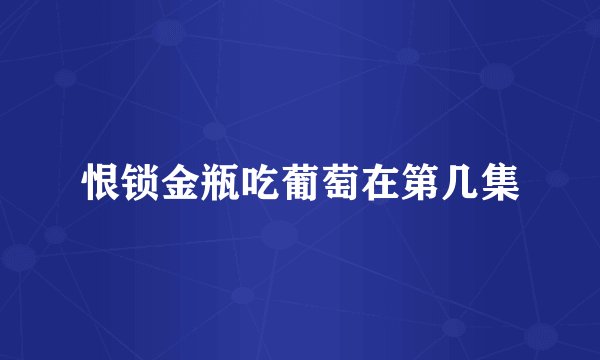 恨锁金瓶吃葡萄在第几集
