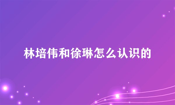 林培伟和徐琳怎么认识的