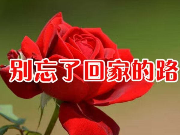 孩子你别忘了回家的路原唱