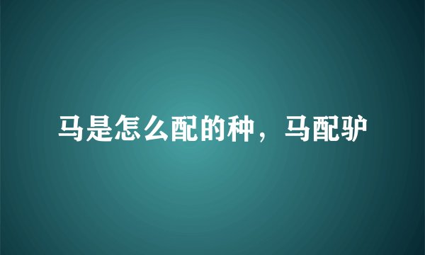 马是怎么配的种，马配驴
