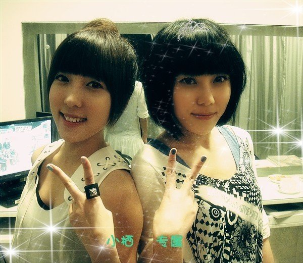 蔡家姐妹的介绍