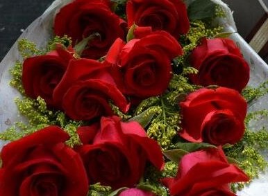 玫瑰花可以放可乐里养吗