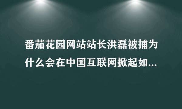 番茄花园网站站长洪磊被捕为什么会在中国互联网掀起如此大的声浪