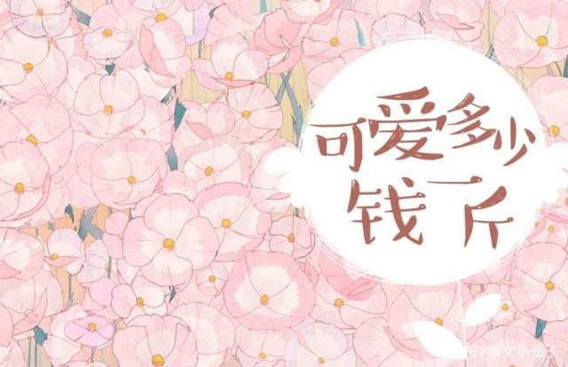 可爱多少钱一斤_by栖见_txt全文阅读，百度网盘免费下载