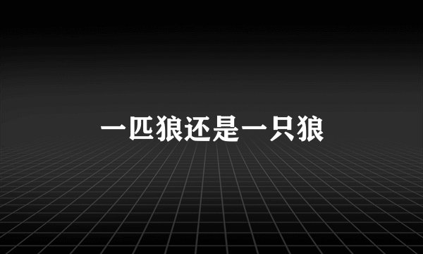 一匹狼还是一只狼