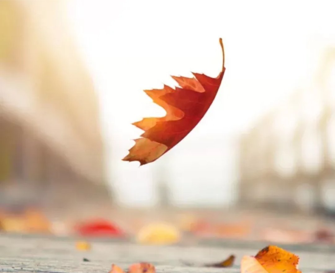 不辞而别是什么意思