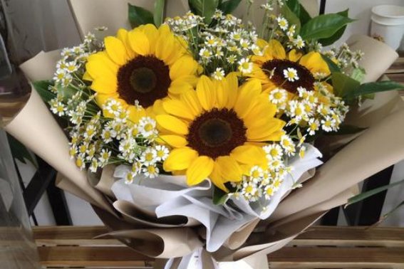 高考送葵花是什么意思