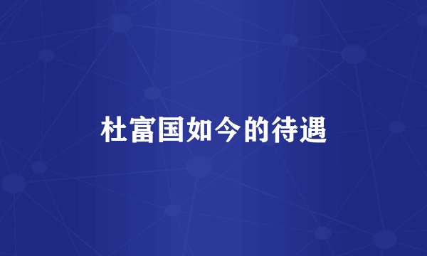 杜富国如今的待遇