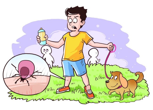 蜱虫怕什么？要用什么东东消灭它