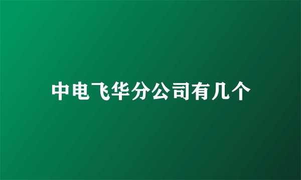 中电飞华分公司有几个