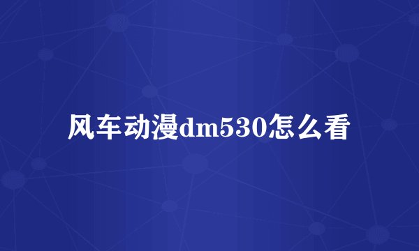 风车动漫dm530怎么看