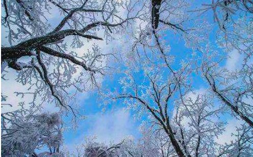长白山景区因雪太大关了？