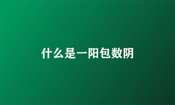 什么是一阳包数阴