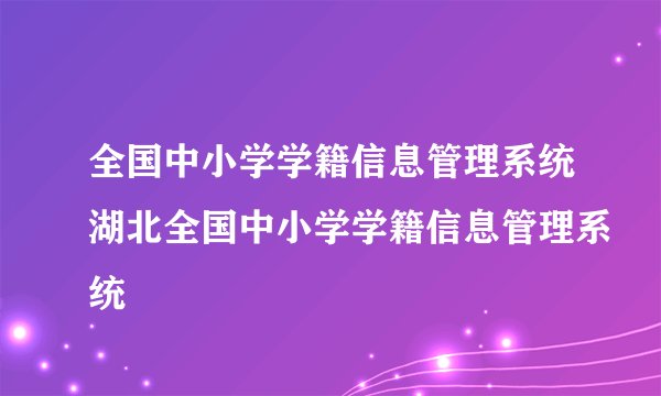 全国中小学学籍信息管理系统湖北全国中小学学籍信息管理系统