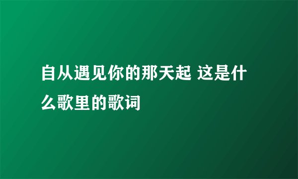 自从遇见你的那天起 这是什么歌里的歌词