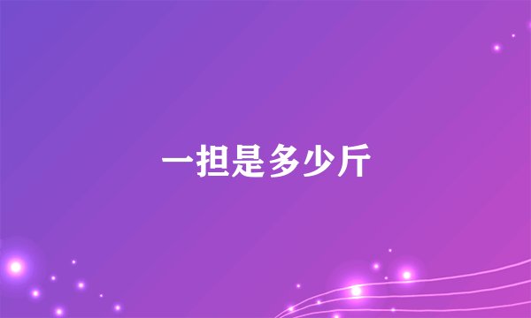 一担是多少斤