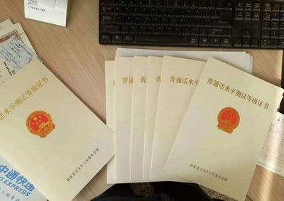 如何在国家政务服务平台下载证书