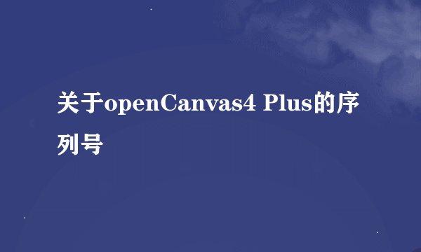 关于openCanvas4 Plus的序列号