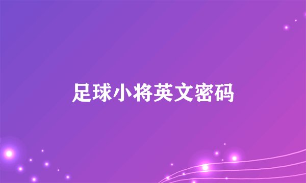 足球小将英文密码