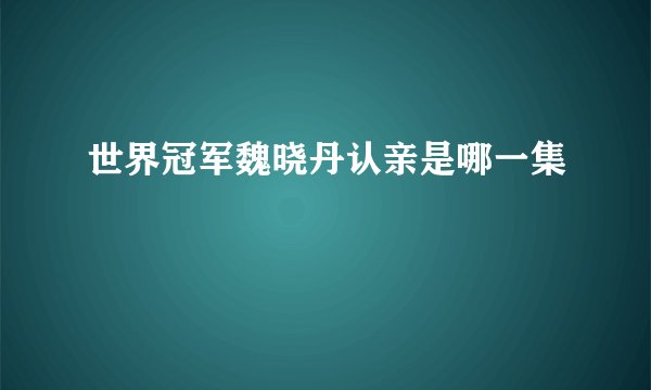 世界冠军魏晓丹认亲是哪一集