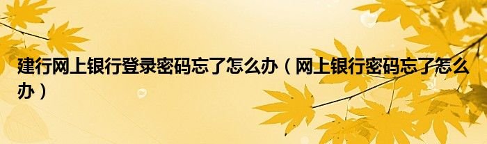建行网上银行登录密码忘了怎么办网上银行密码忘了怎么办