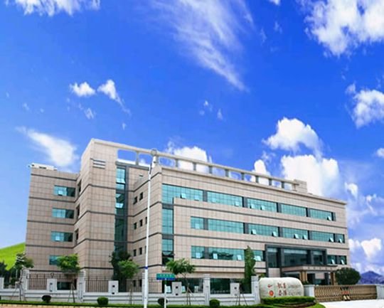 龙基电力集团公司的介绍