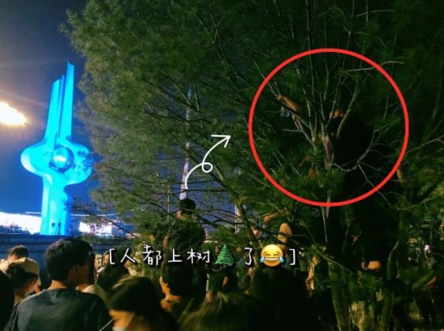 倪萍康辉直播带货破14亿,其中有哪些细节值得关注?