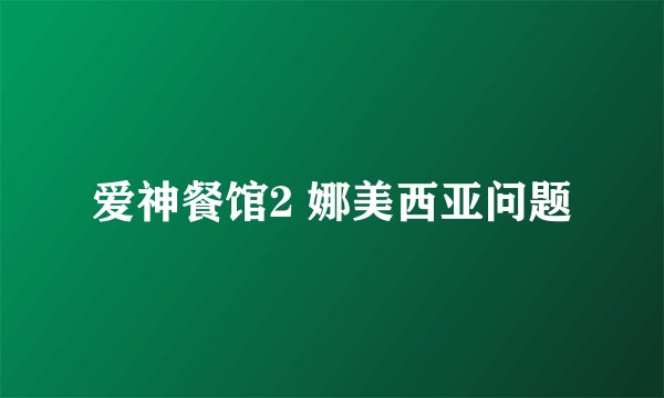 爱神餐馆2 娜美西亚问题