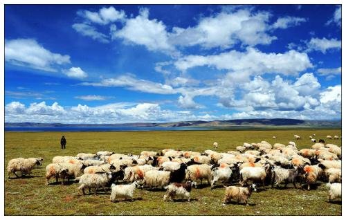 西藏发现的8000年前磨制石针,是怎样一种石器?