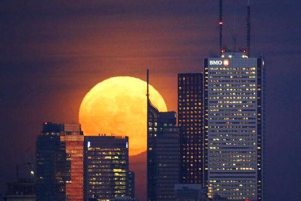 路透的英文新闻在哪里看到？