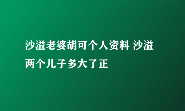 沙溢老婆胡可个人资料 沙溢两个儿子多大了正